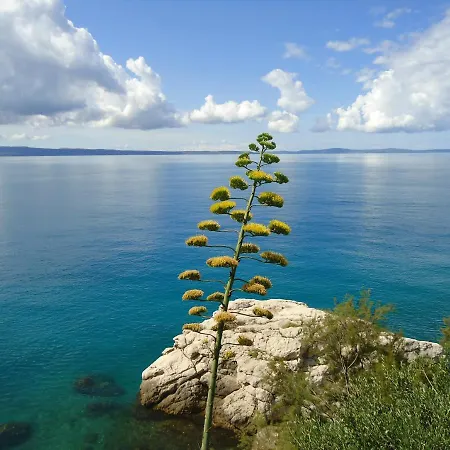3e Apartament Split